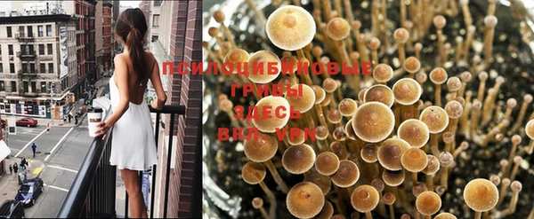 гашишное масло Корсаков