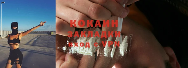 крисы Козельск
