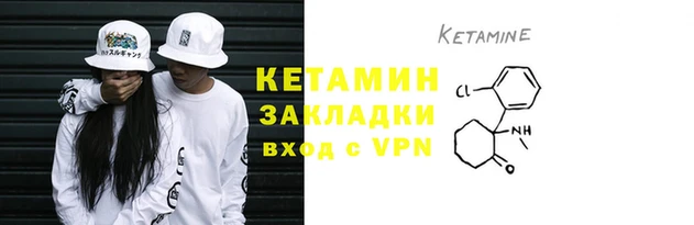 шишки Козловка