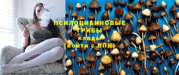крисы Козельск