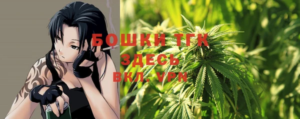 шишки Козловка