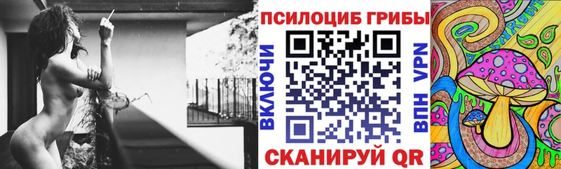 Псилоцибиновые грибы Cubensis Купить где Кондрово